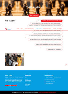 graphic Tamilnadu Braille Chess Association