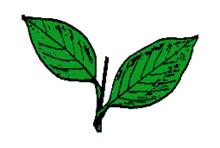 அனைத்திந்திய அண்ணா திராவிட முன்னே்ற்றக் கழகம் தேர்தல் சின்னம்